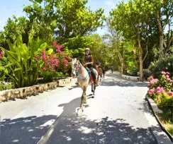 Paseo a Caballo especial 2x1