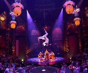 CIRQUE DU SOLEIL JOYA Show only