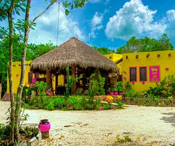 Experiencia Culinaria México Lindo