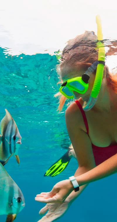 Background recovering session